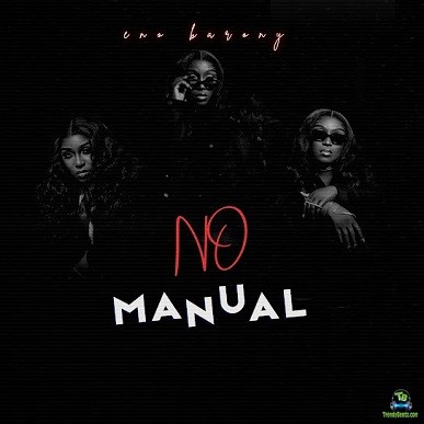 Album 'No Manual' by Ruth Eno Adjoa Amankwah Nyame Adom (2025 Music Album)