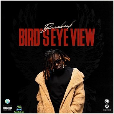 Album 'Bird's Eye View' by Bernard Kankam (2024 Music Album)