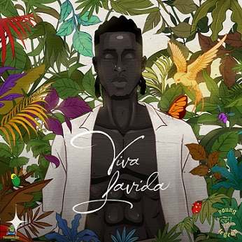 Album 'Viva Lavida' by Joseph Akinfenwa Donus (2025 Music Album)