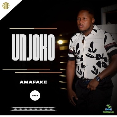 Album 'AmaFake' by UNjoko (2024 Music Album)