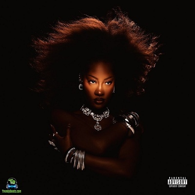Album 'Born In The Wild' by Temilade Openiyi (2024 Music Album)