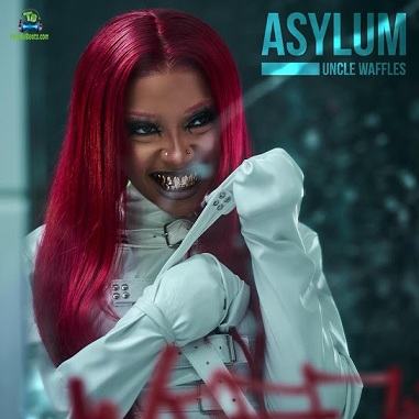 Album 'Asylum' by Lungelihle Zwane (2023 Music Album)