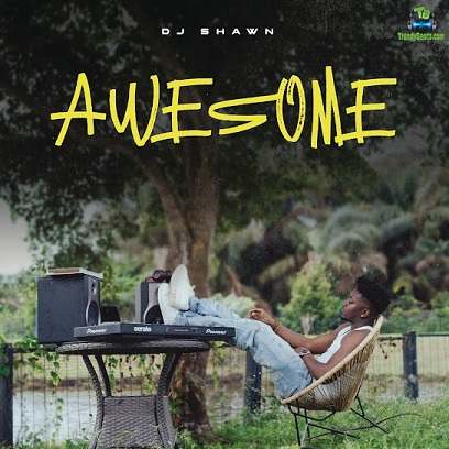 Album 'Awesome EP' by Dj Shawn (2023 Music Album)