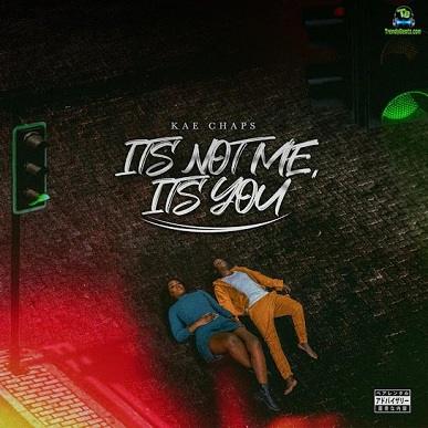 Album 'Its Not Me, Its You' by Kudakwashe Chapepa (2022 Music Album)