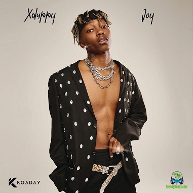 Album 'Joy' by Xduppy (2023 Music Album)