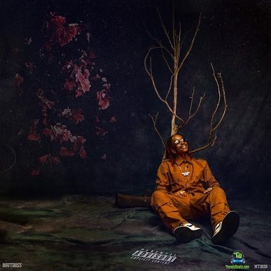 Album 'Mtindo' by Boutross Mwebia Munene (2024 Music Album)
