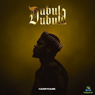 Album 'Dubula Dubula' by Harry Cane (2024 Music Album)