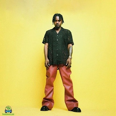 Album 'Been One' by Adu Sarfo Patrick (2023 Music Album)