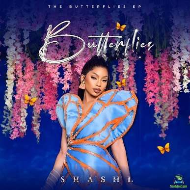 Album 'Butterflies EP' by Ashleigh Moyo (2024 Music Album)