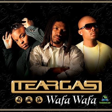Album 'Wafa Wafa' by Teargas (2008 Music Album)
