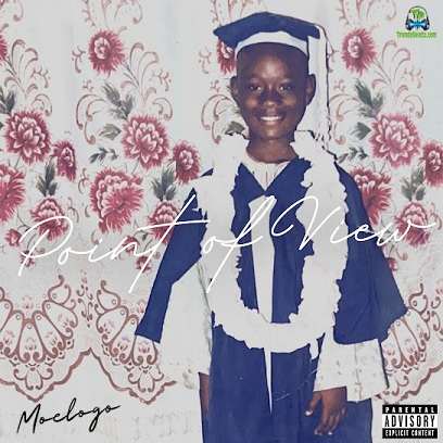 Album 'Point Of View EP' by Mohammed Animashaun (2023 Music Album)