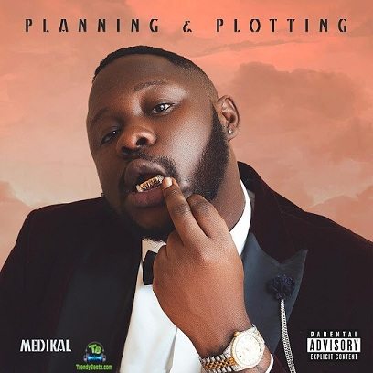 Album 'Planning &amp; Plotting' by Samuel Adu Frimpong (2023 Music Album)