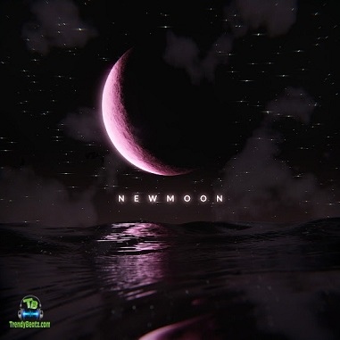 Album 'New Moon EP' by Tshego (2024 Music Album)