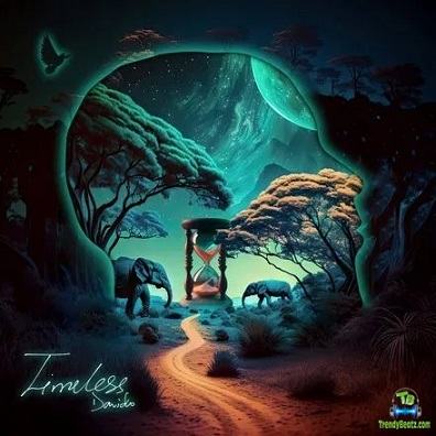Album 'Timeless' by David Adedeji Adeleke (2023 Music Album)