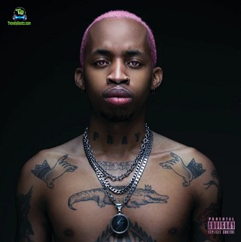 Album 'Pink Panther' by Tshego (2019 Music Album)