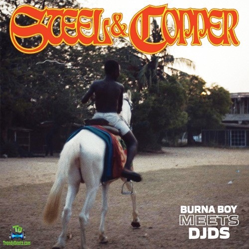Album 'Steel And Copper EP' by Damini Ogulu (2019 Music Album)