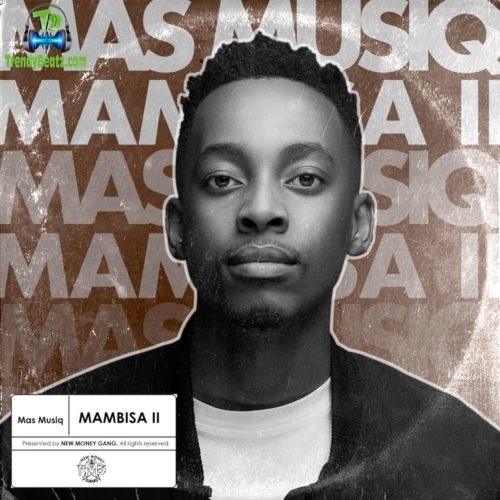Album 'Mambisa II' by Thabo Ngubane (2020 Music Album)