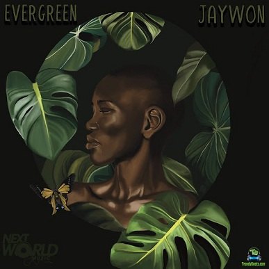 Album 'Evergreen' by Iledare Oluwajuwonlo (2024 Music Album)
