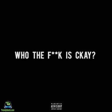 Album 'Who The Fuck Is CKay EP' by Chukwuka Ekweani (2017 Music Album)