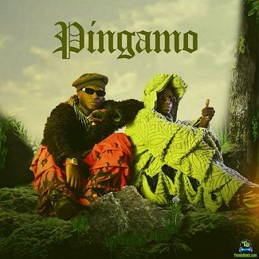 Album 'Pingamo' by Dope Boys Bapele (2024 Music Album)