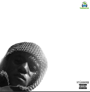Album 'Stubborn' by Victony (2024 Music Album)