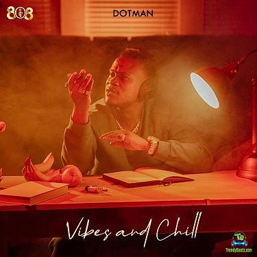 Album 'Vibes And Chill EP' by Olatunji Oladotun Alade (2022 Music Album)