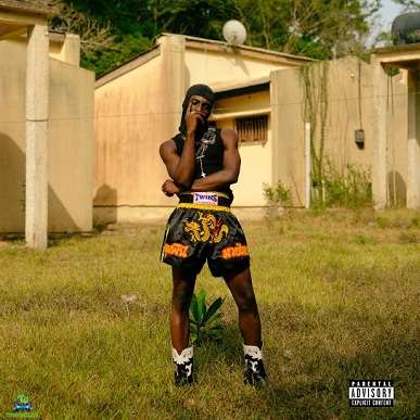 Album 'Finding Nimo Series: The Capsule' by Arathejay (2024 Music Album)