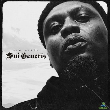Album 'Sui Generis EP' by Remilekun Abdulkalid Safaru (2024 Music Album)
