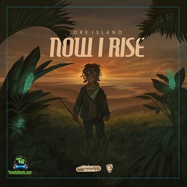 Album 'Now I Rise' by Andre Johnson (2020 Music Album)
