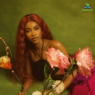 Album 'Like A Flower EP' by Amaeya (2024 Music Album)