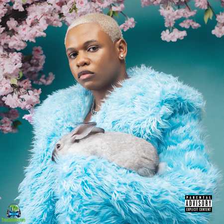 Album 'Boy Spyce EP' by Ugbekile David Osemeke (2022 Music Album)