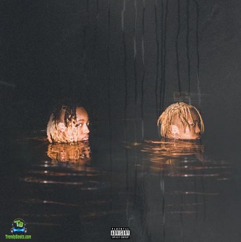 Album 'Waves Never Die' by Williestilios And Siyangena69 (2022 Music Album)