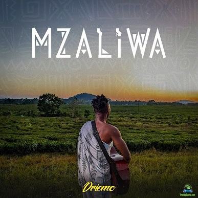 Album 'Mzaliwa' by Driemo Mw (2023 Music Album)