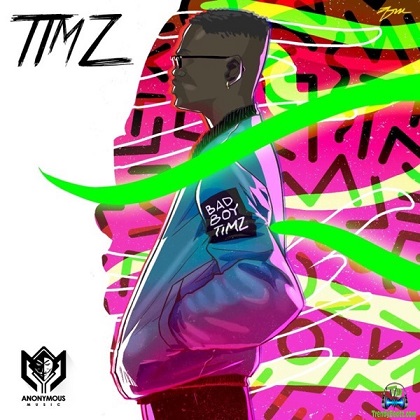 Album 'Timz EP' by Olorunyomi Oloruntimilehin (2019 Music Album)