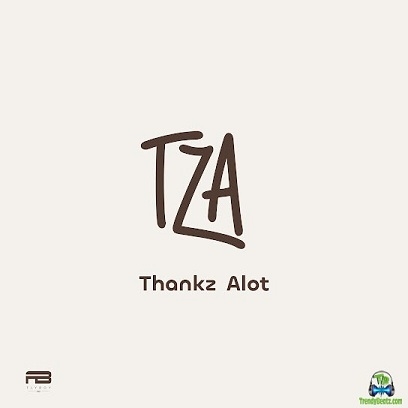 Album 'TZA (Thankz Alot) EP' by Oluwatobiloba Daniel Anidugbe (2024 Music Album)
