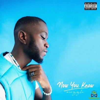 Album 'Now You Know EP' by Mizzle (2023 Music Album)