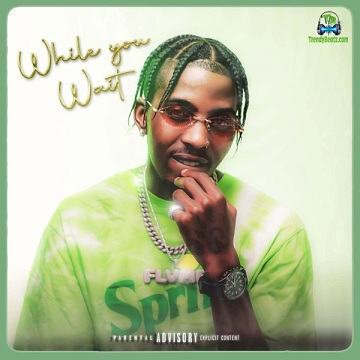 Album 'While You Wait EP' by None (2021 Music Album)