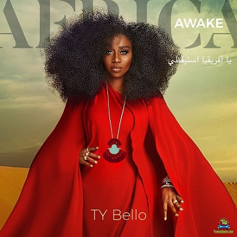 Album 'Africa Awake' by Toyin Sokefun-Bello (2021 Music Album)