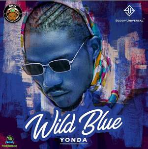 Album 'Wild Blue EP' by Abayomi Adetunji (2020 Music Album)