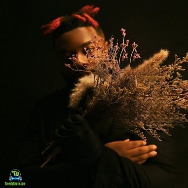 Album 'Wayyy Saucy EP' by Ernest Nwokedi Felix (2023 Music Album)
