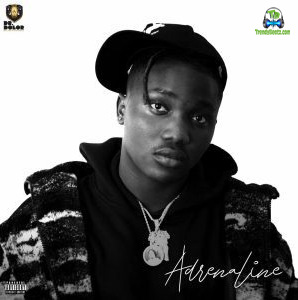 Album 'Adrenaline EP' by None (2022 Music Album)