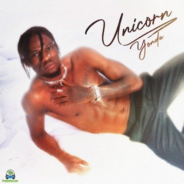 Album 'Unicorn' by Abayomi Adetunji (2023 Music Album)