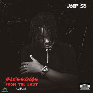 Joep Sb