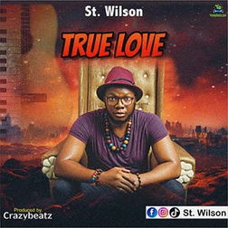 St. Wilson