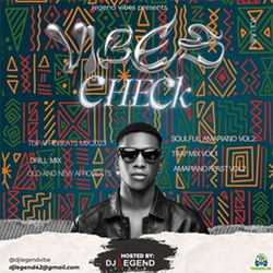 Album 'Vibe Check EP' by DJ Legend Vibes (2024 Music Album)