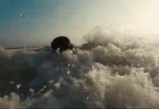 Rema - FUN | Photo 3