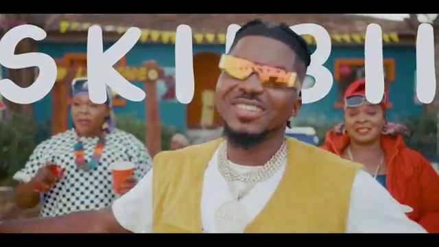 Skiibii - Are You Vhere (Are You There)