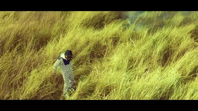 Davolee - Happiness | Photo 5