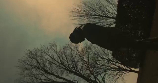 Dice Ailes - Zombie