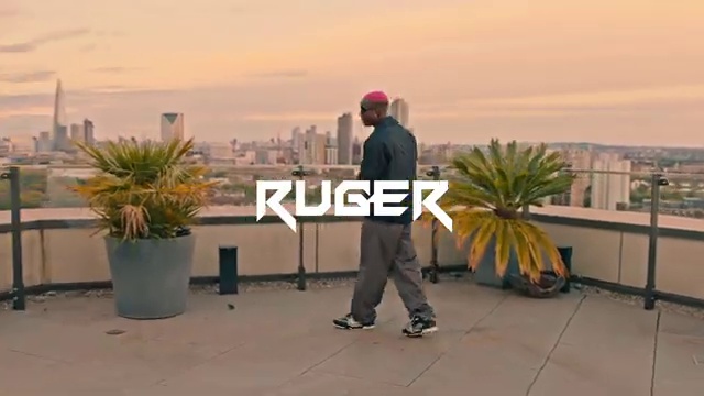 Ruger - Red Flags